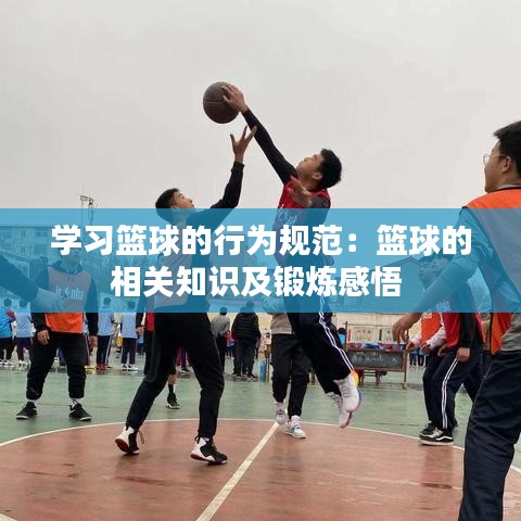 学习篮球的行为规范：篮球的相关知识及锻炼感悟 