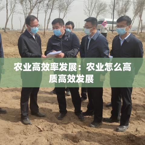 农业高效率发展：农业怎么高质高效发展 