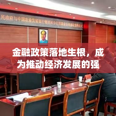 金融政策落地生根，成为推动经济发展的强大引擎