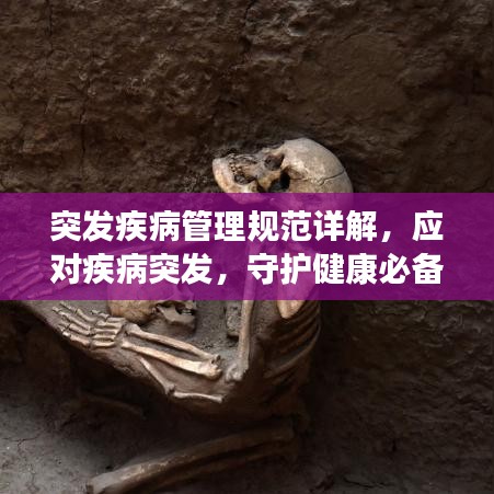 突发疾病管理规范详解，应对疾病突发，守护健康必备知识