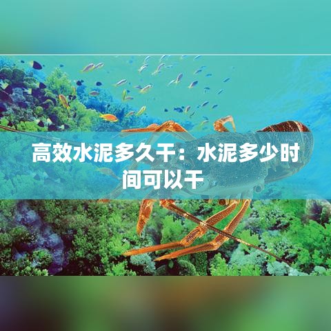 高效水泥多久干：水泥多少时间可以干 