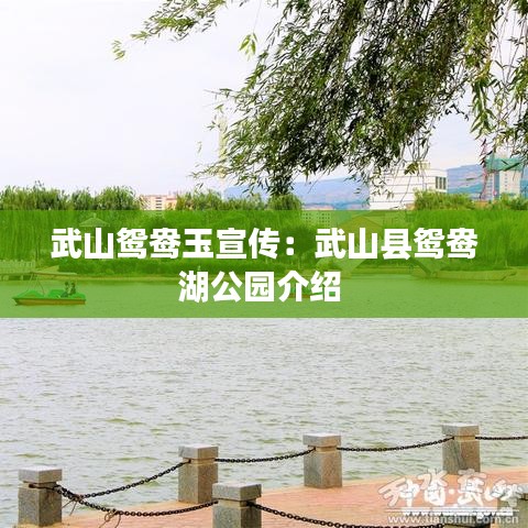 武山鸳鸯玉宣传：武山县鸳鸯湖公园介绍 