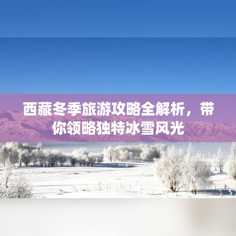 西藏冬季旅游攻略全解析，带你领略独特冰雪风光