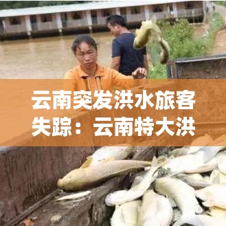 云南突发洪水旅客失踪：云南特大洪水 