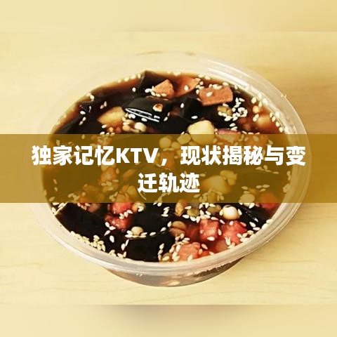 独家记忆KTV，现状揭秘与变迁轨迹