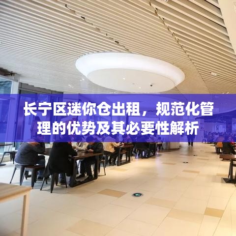长宁区迷你仓出租，规范化管理的优势及其必要性解析