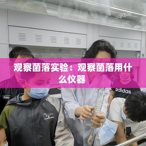 观察菌落实验：观察菌落用什么仪器 