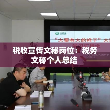 税收宣传文秘岗位：税务文秘个人总结 