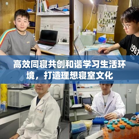 高效同寝共创和谐学习生活环境，打造理想寝室文化