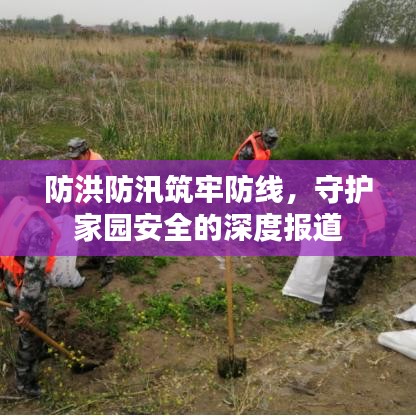 防洪防汛筑牢防线，守护家园安全的深度报道