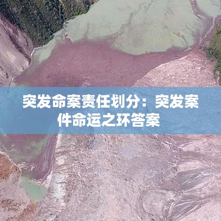 突发命案责任划分：突发案件命运之环答案 