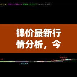 镍价最新行情分析，今日吨价走势揭秘