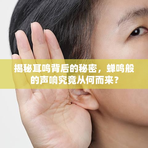 揭秘耳鸣背后的秘密，蝉鸣般的声响究竟从何而来？