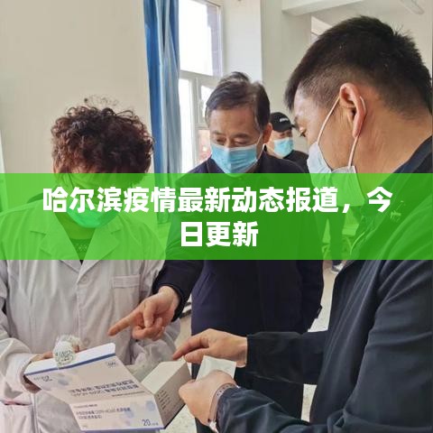 哈尔滨疫情最新动态报道，今日更新