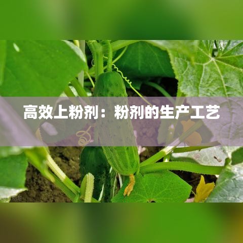 高效上粉剂：粉剂的生产工艺 