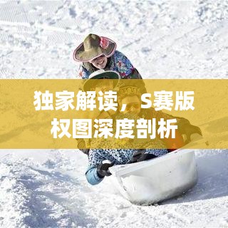 独家解读，S赛版权图深度剖析