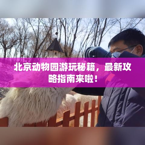 北京动物园游玩秘籍，最新攻略指南来啦！