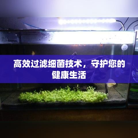 高效过滤细菌技术，守护您的健康生活