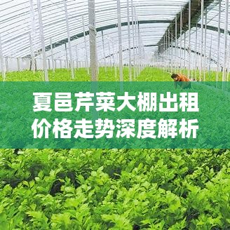 夏邑芹菜大棚出租价格走势深度解析