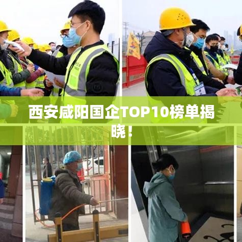 西安咸阳国企TOP10榜单揭晓！