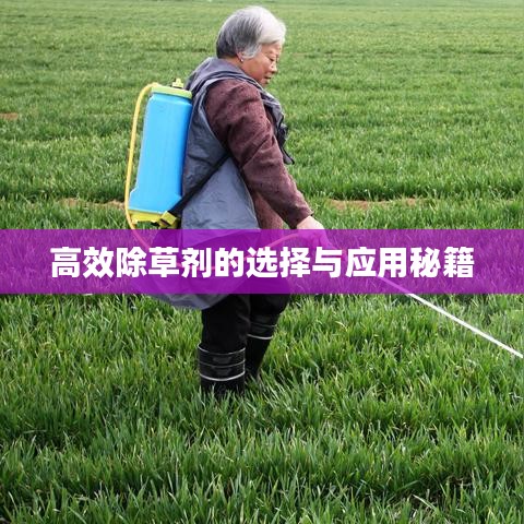高效除草剂的选择与应用秘籍
