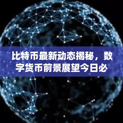 比特币最新动态揭秘，数字货币前景展望今日必看