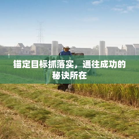锚定目标抓落实，通往成功的秘诀所在