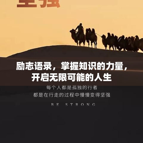 励志语录，掌握知识的力量，开启无限可能的人生