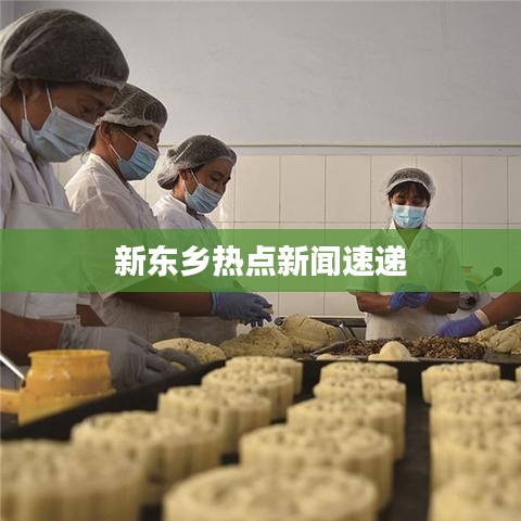 新东乡热点新闻速递