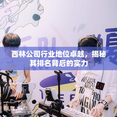 西林公司行业地位卓越，揭秘其排名背后的实力