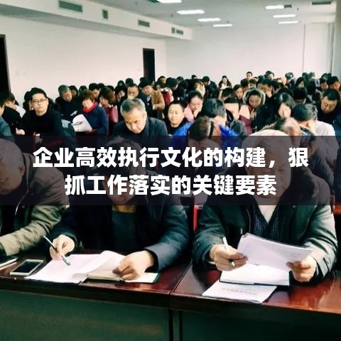 企业高效执行文化的构建，狠抓工作落实的关键要素