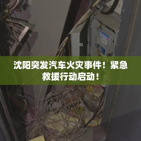 沈阳突发汽车火灾事件！紧急救援行动启动！