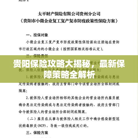 贵阳保险攻略大揭秘，最新保障策略全解析