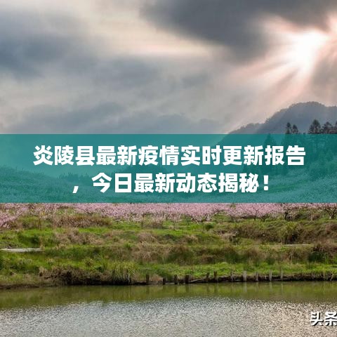 炎陵县最新疫情实时更新报告，今日最新动态揭秘！