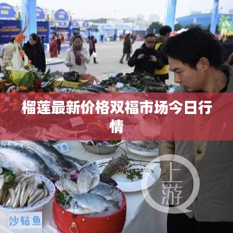 榴莲最新价格双福市场今日行情