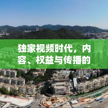 独家视频时代，内容、权益与传播的博弈之道