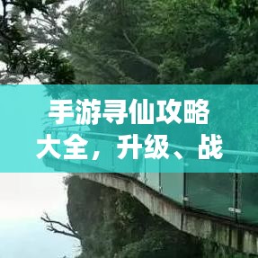 手游寻仙攻略大全，升级、战斗与探险的秘籍揭秘！