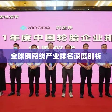 全球钢帘线产业排名深度剖析