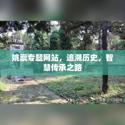 姚崇专题网站，追溯历史，智慧传承之路