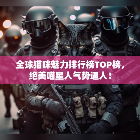 全球猫咪魅力排行榜TOP榜，绝美喵星人气势逼人！