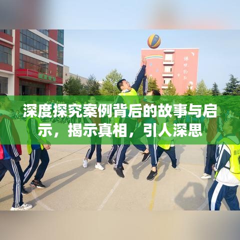 深度探究案例背后的故事与启示，揭示真相，引人深思