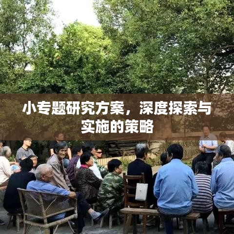 小专题研究方案，深度探索与实施的策略