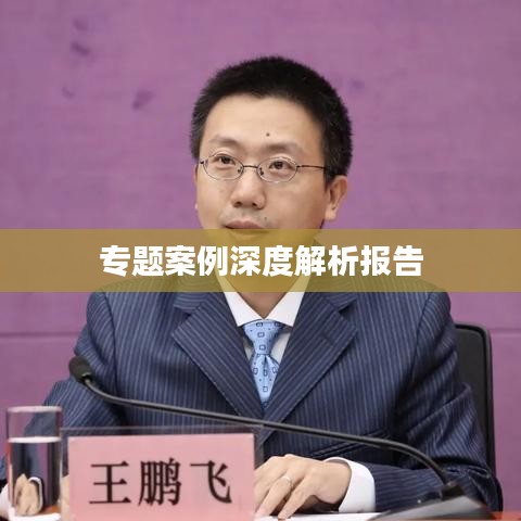 专题案例深度解析报告