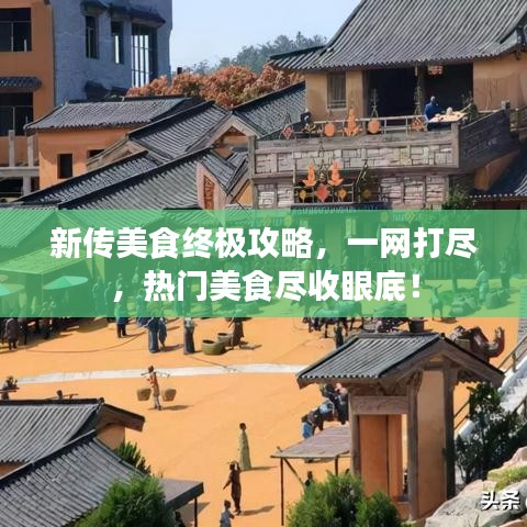 新传美食终极攻略，一网打尽，热门美食尽收眼底！