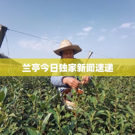 兰亭今日独家新闻速递