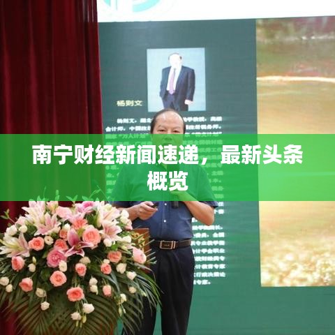 南宁财经新闻速递，最新头条概览
