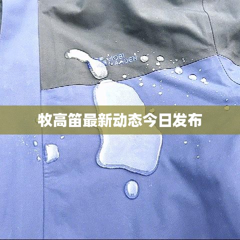 牧高笛最新动态今日发布