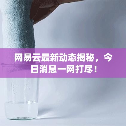 网易云最新动态揭秘，今日消息一网打尽！