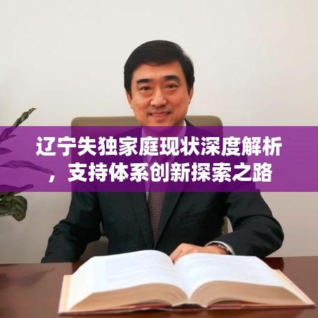 辽宁失独家庭现状深度解析，支持体系创新探索之路
