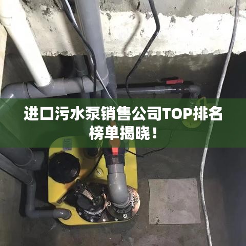 进口污水泵销售公司TOP排名榜单揭晓！